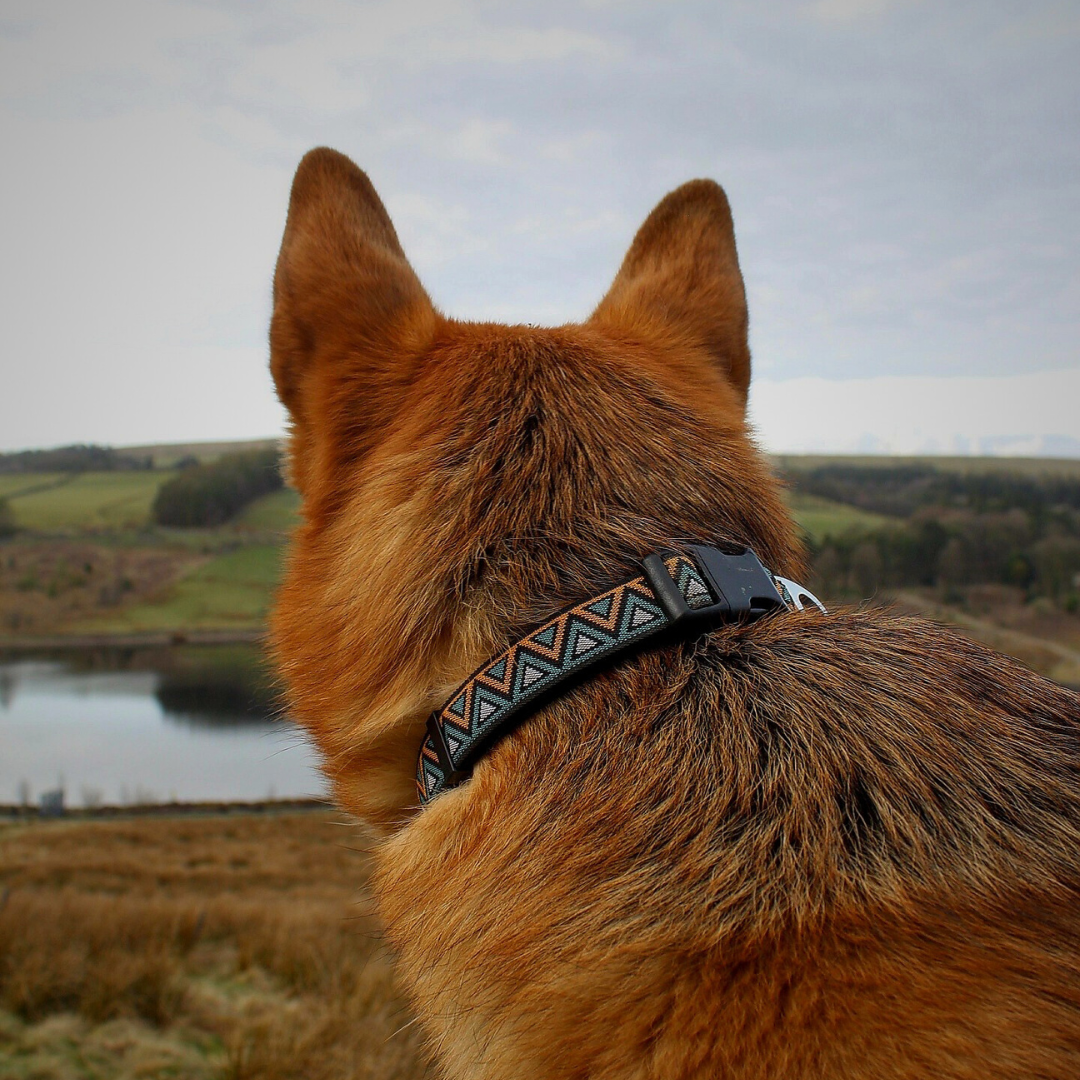 Go-Cee | Dog Collar | Hollyhock