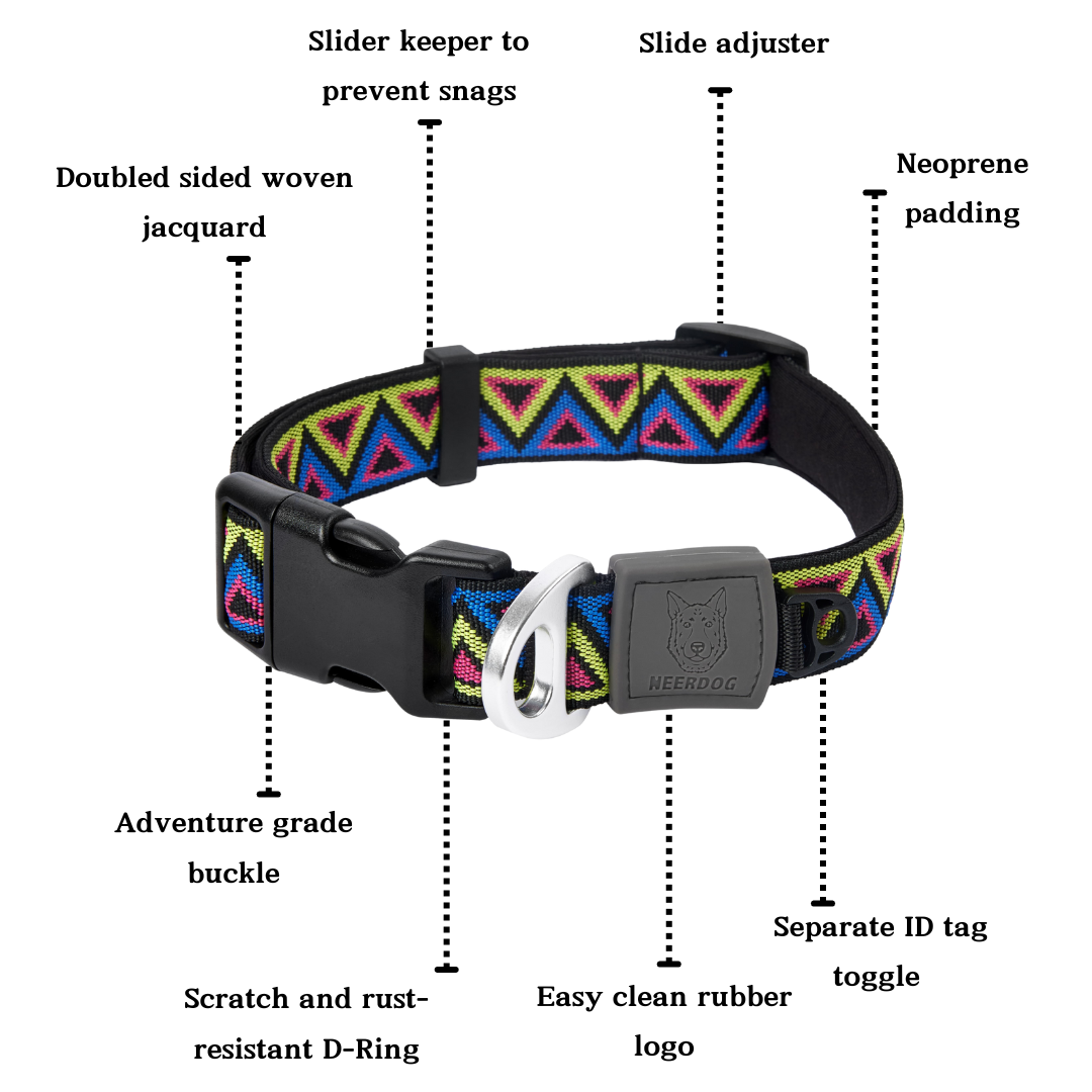 Go-Cee | Dog Collar | Cosmos