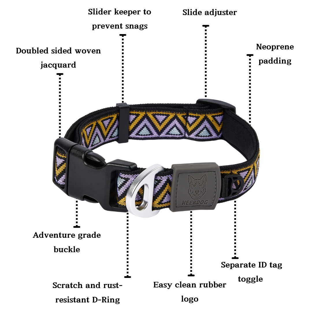 Go-Cee | Dog Collar | Erysimum