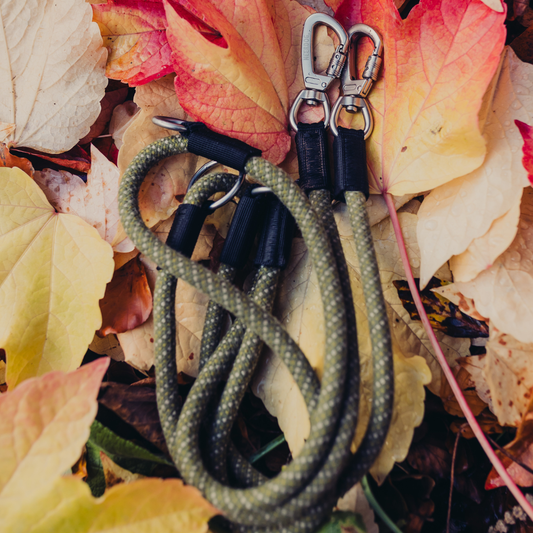 GO-B-FLEXTRA | Multifunctional Rope Lead | Green