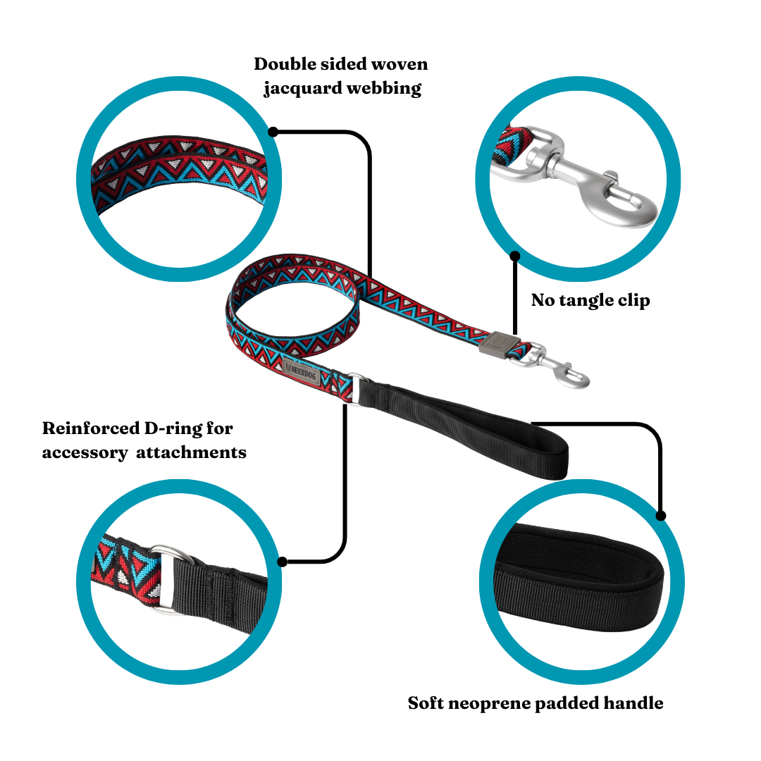 GO-CEE | Dog Lead | Zinnia