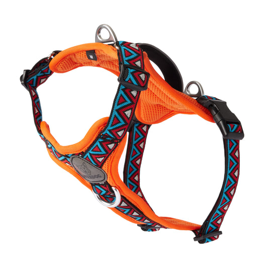 GO-B-BOLD™ | Dog Harness | Zinnia