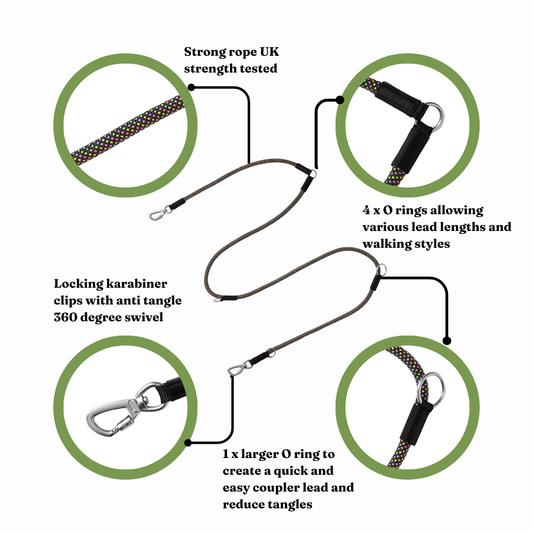 GO-B-FLEXTRA | Multifunctional Rope Lead | Lantana