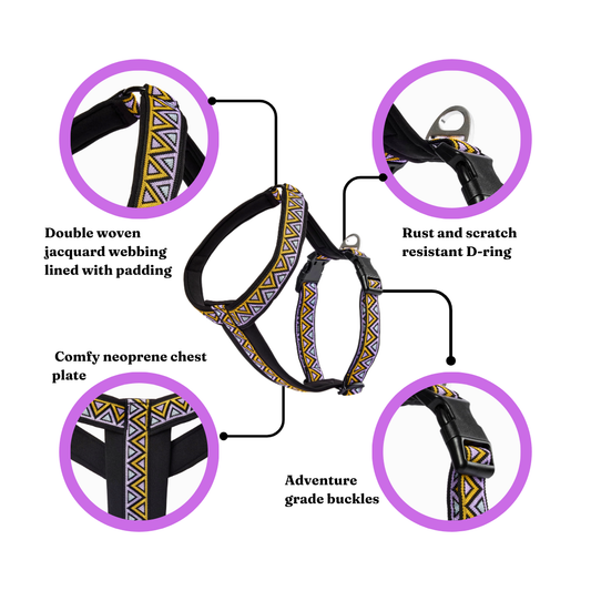 Go-Cee-Y | Dog Harness | Erysimum