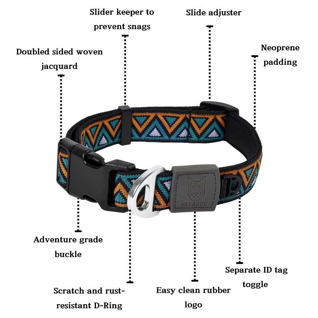 Go-Cee | Dog Collar | Hollyhock