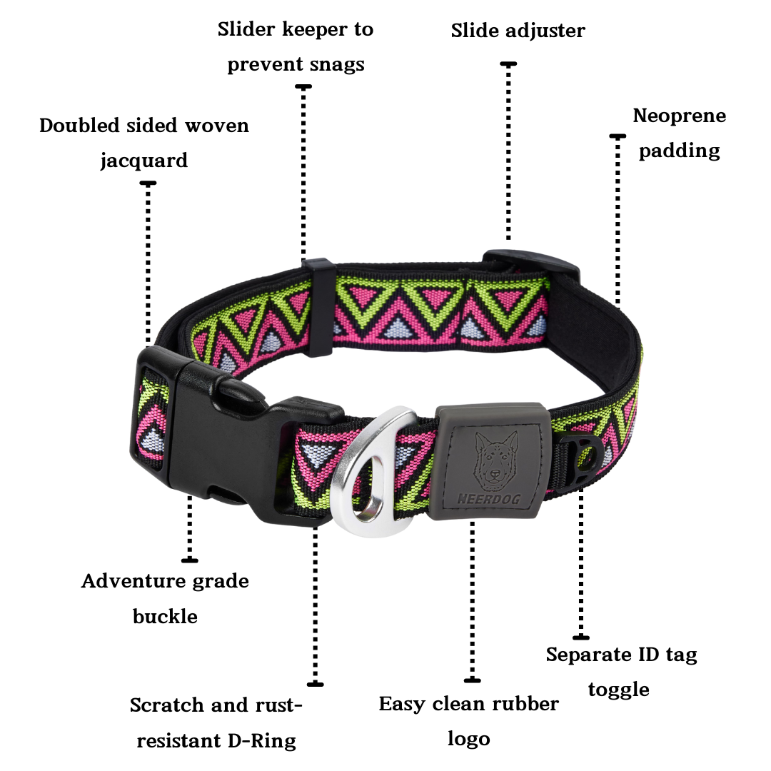 Go-Cee | Dog Collar | Lantana