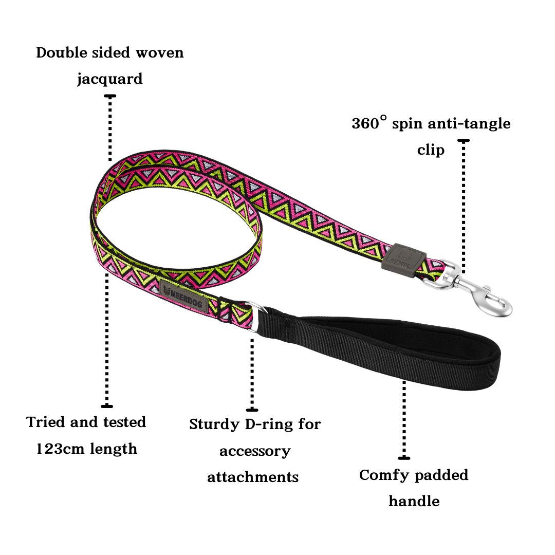 Go-Cee | Dog Lead | Lantana