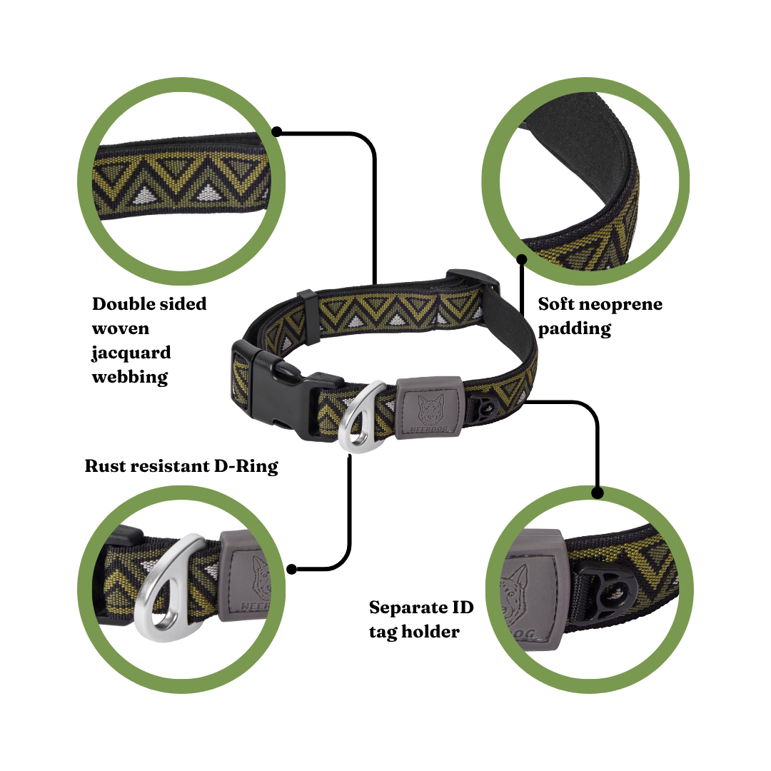 GO-CEE | Dog Collar | Fern