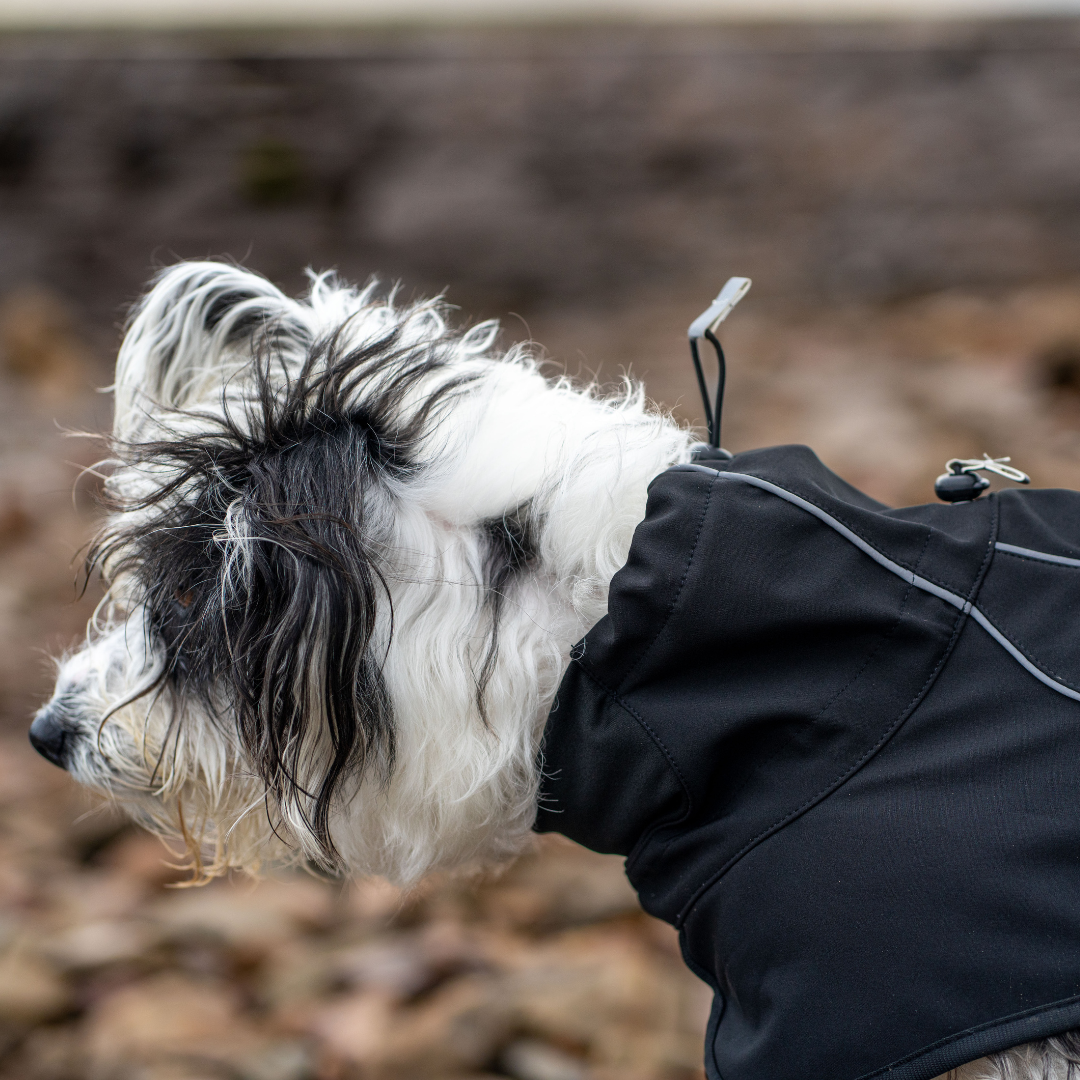 Dog coat close up of the neck toggle that can be adjusted to help keep wind and rain off a dogs neck