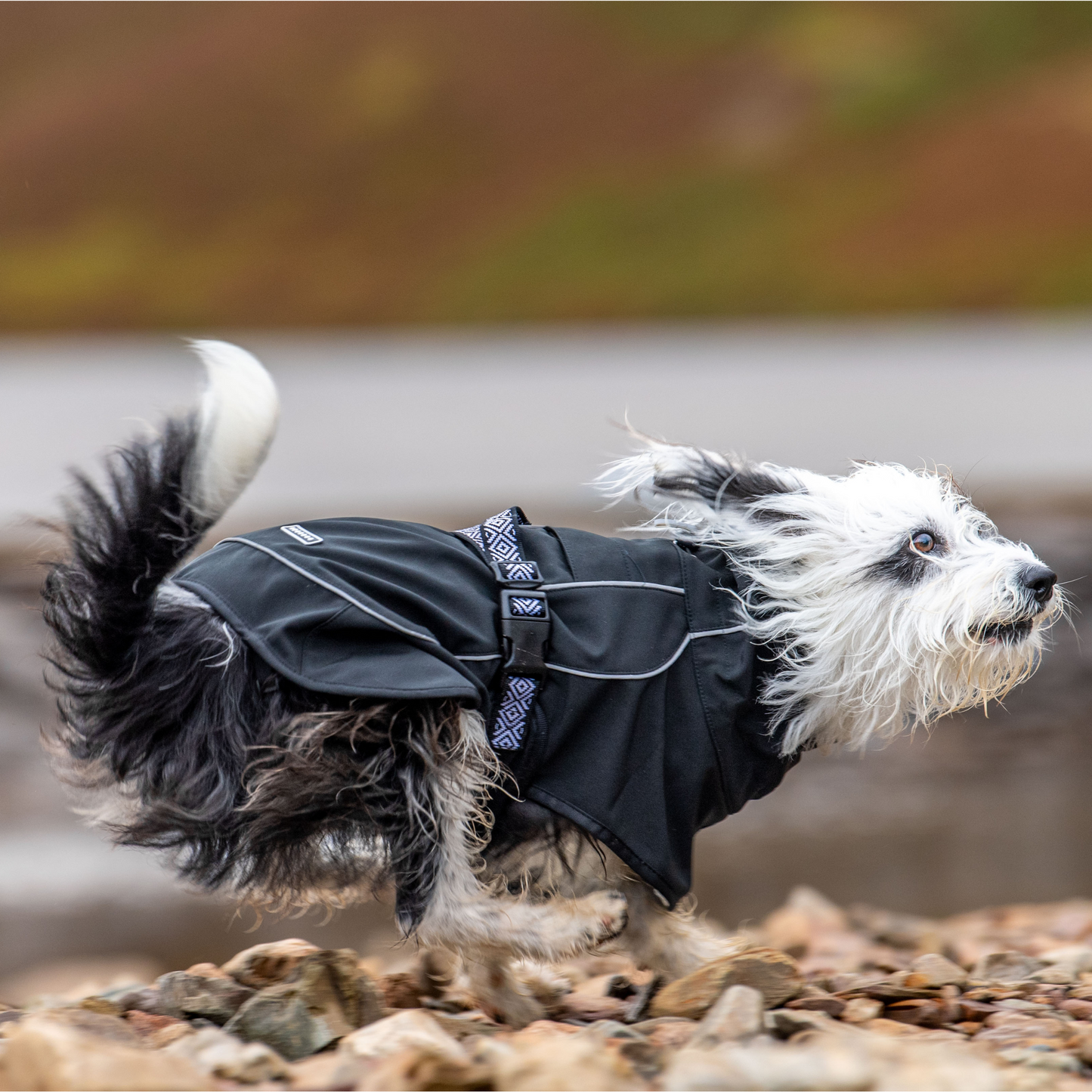 Rain Defender | Reflective Dog Coat | Black