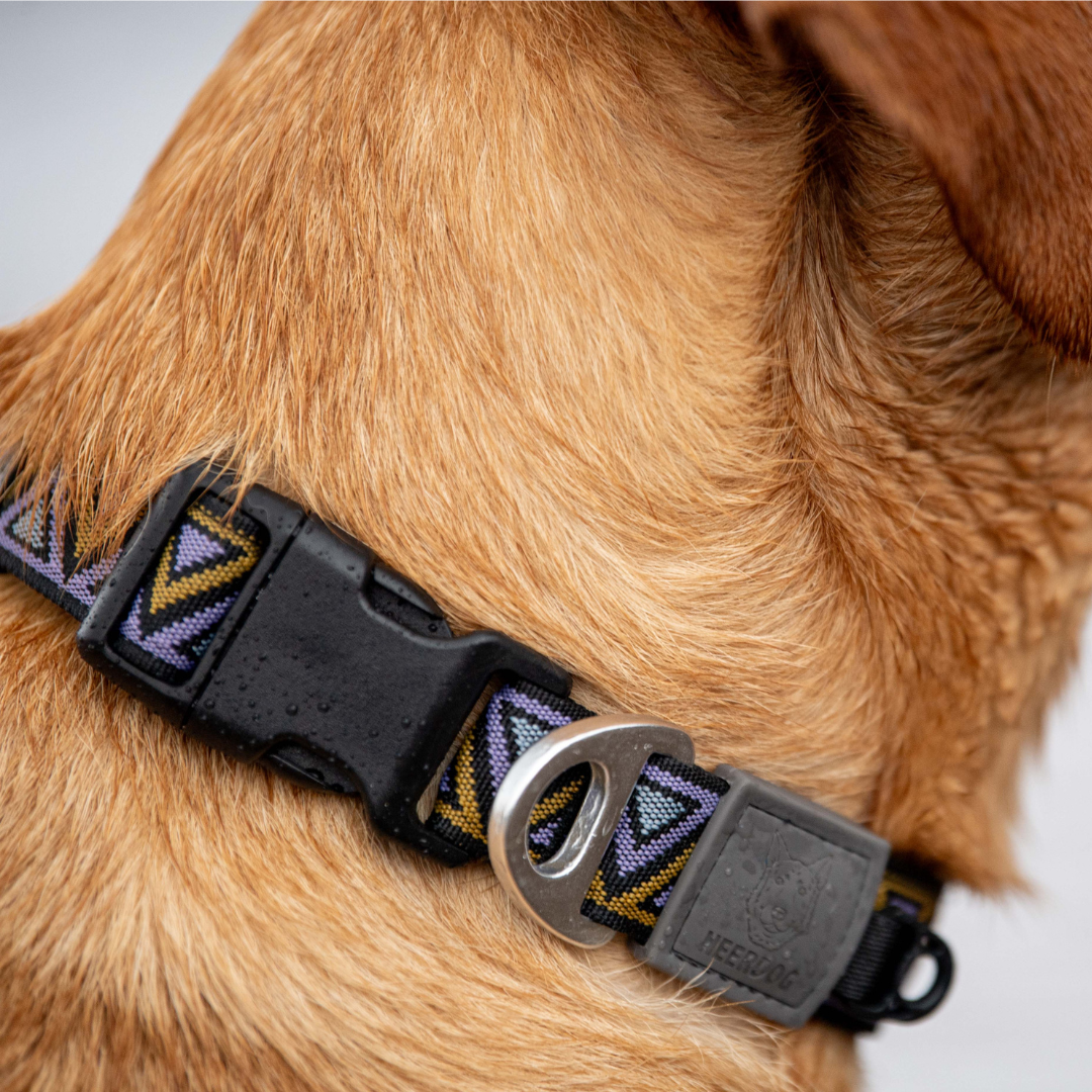 GO-CEE Erysimum Collar