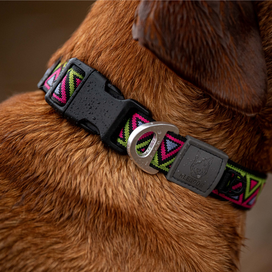 GO-CEE Lantana Collar