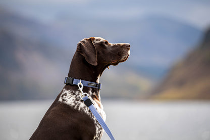 Stink-Proofed Collar - Dusk Blue