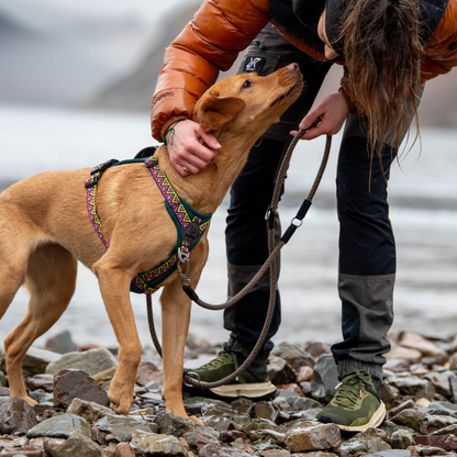 GO-B-FLEXTRA | Multifunctional Rope Lead | Lantana