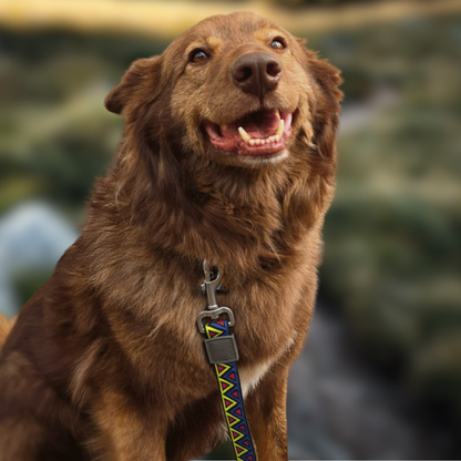 GO-CEE | Dog Lead | Cosmos