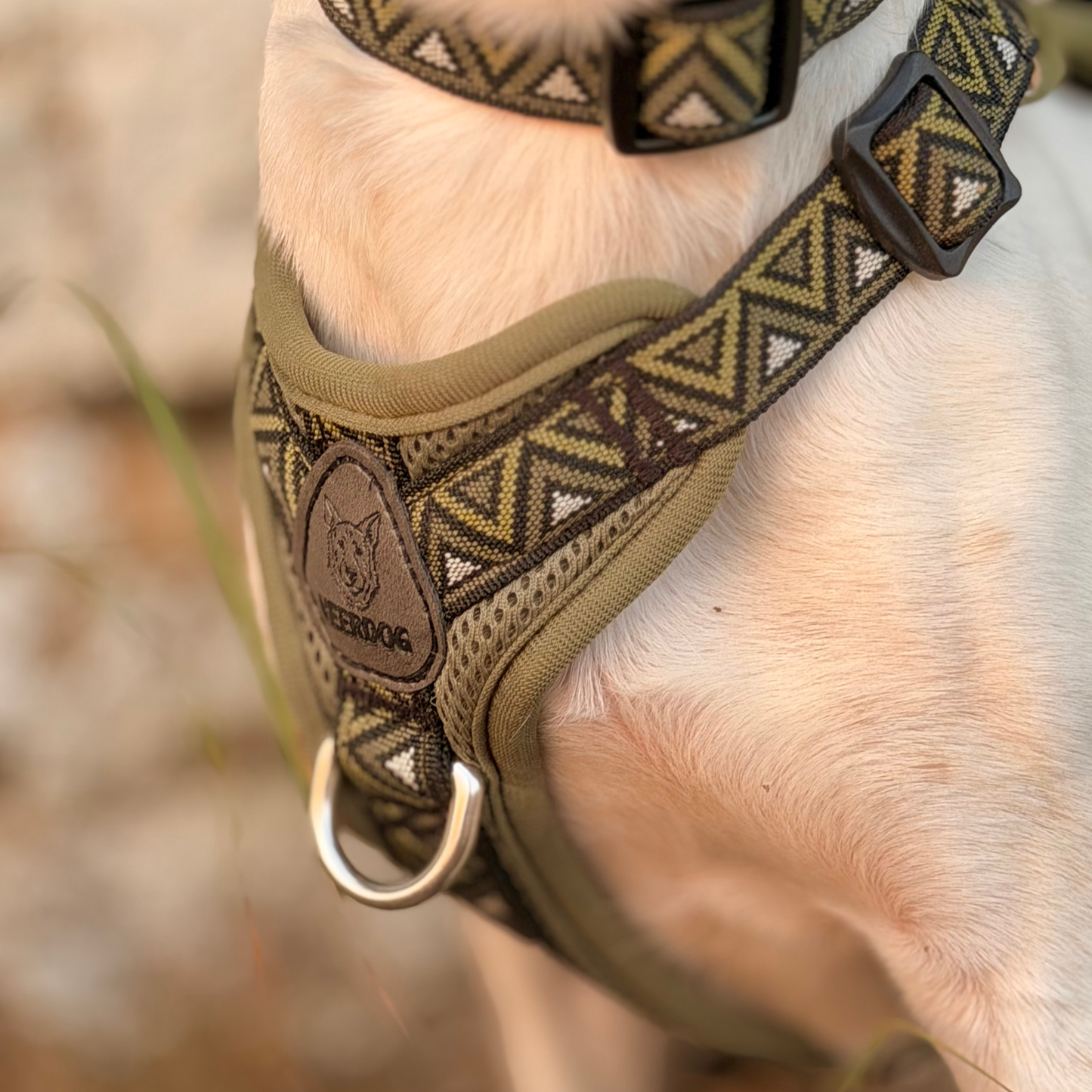 GO-B-BOLD™ | Dog Harness | Fern