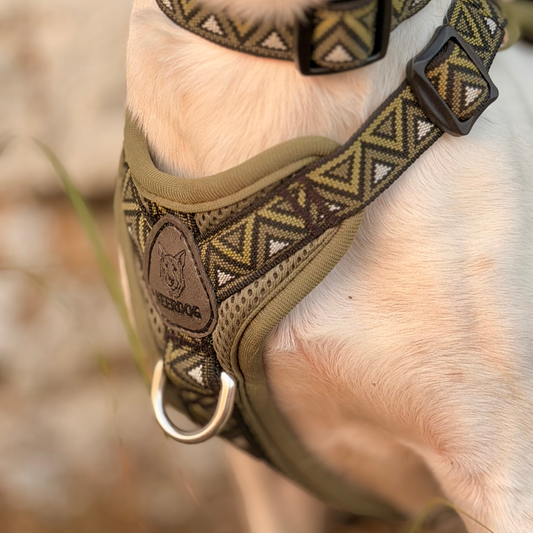 GO-B-BOLD™ | Dog Harness | Fern