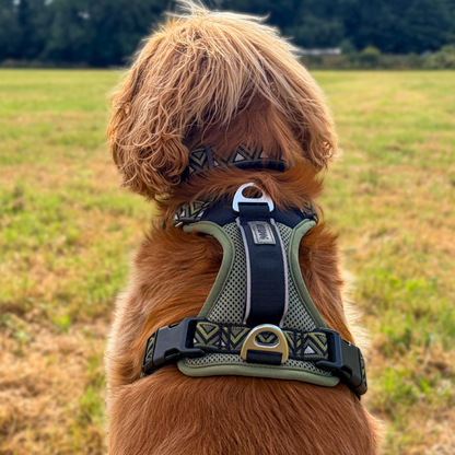 GO-B-BOLD™ | Dog Harness | Fern