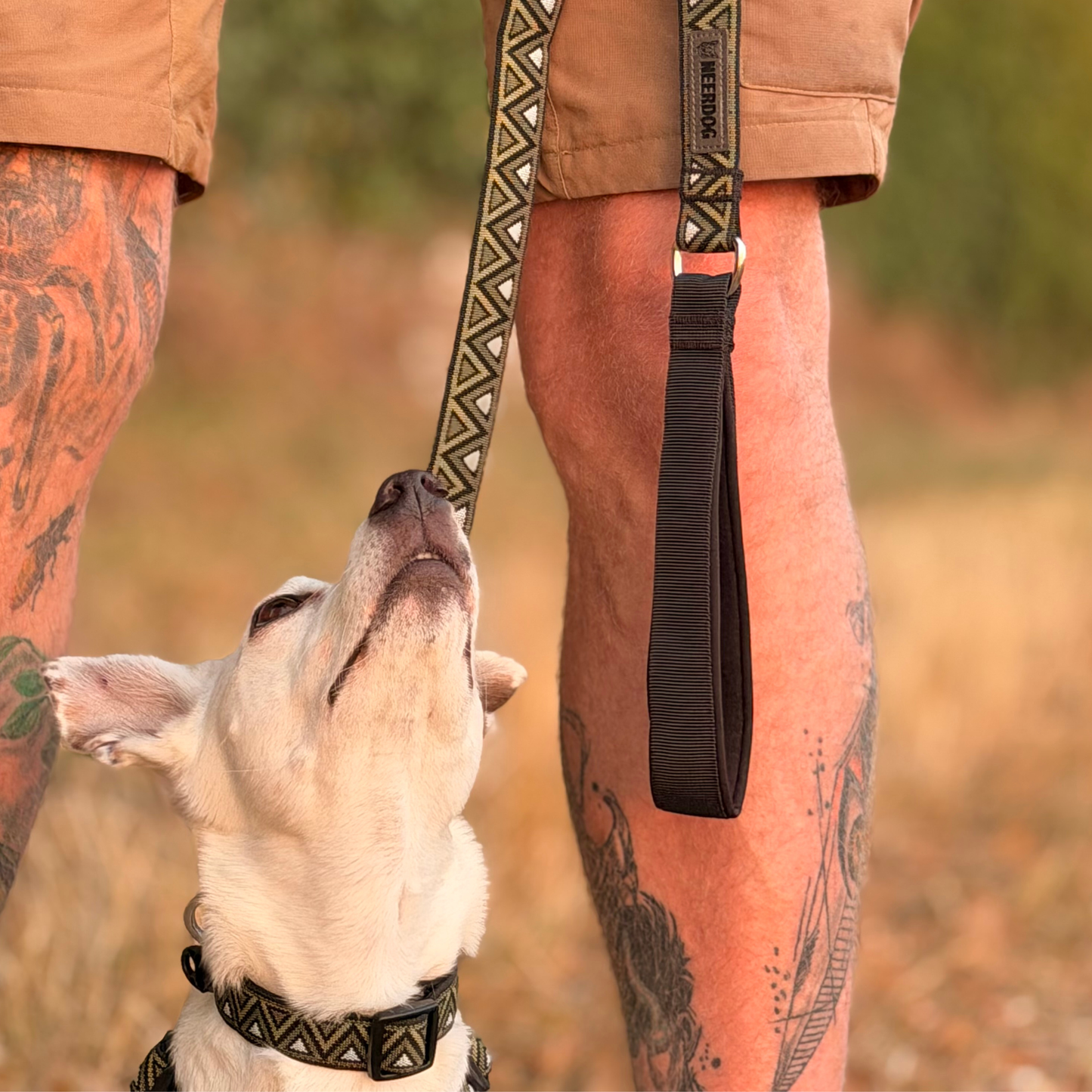 GO-CEE | Dog Lead | Fern