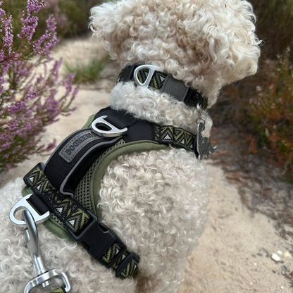 GO-B-BOLD™ | Dog Harness | Fern