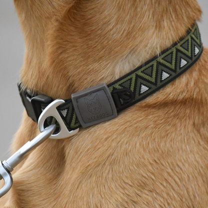 GO-CEE | Dog Collar | Fern