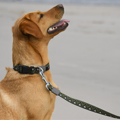 GO-CEE | Dog Lead | Fern