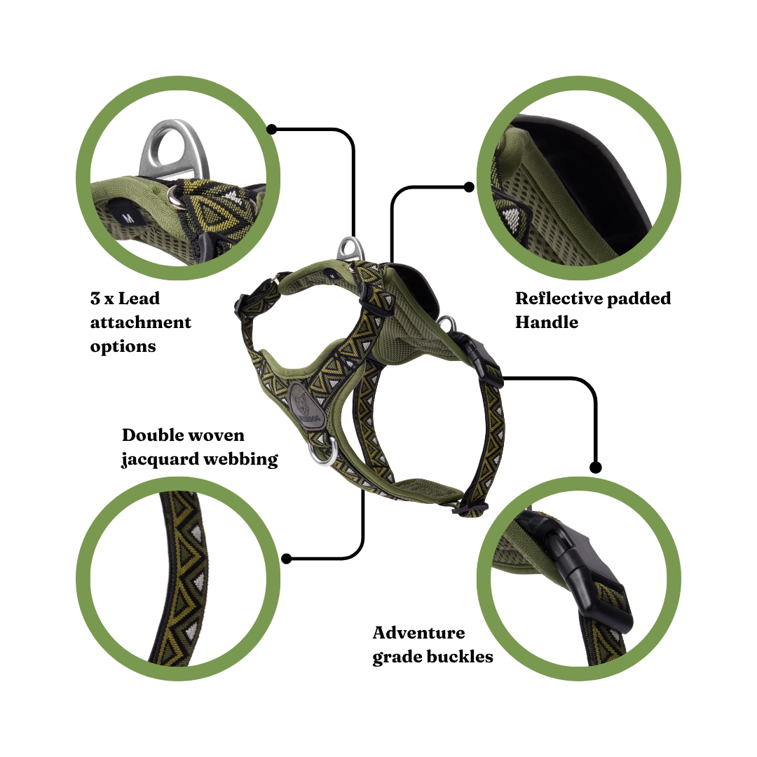 GO-B-BOLD™ | Dog Harness | Fern