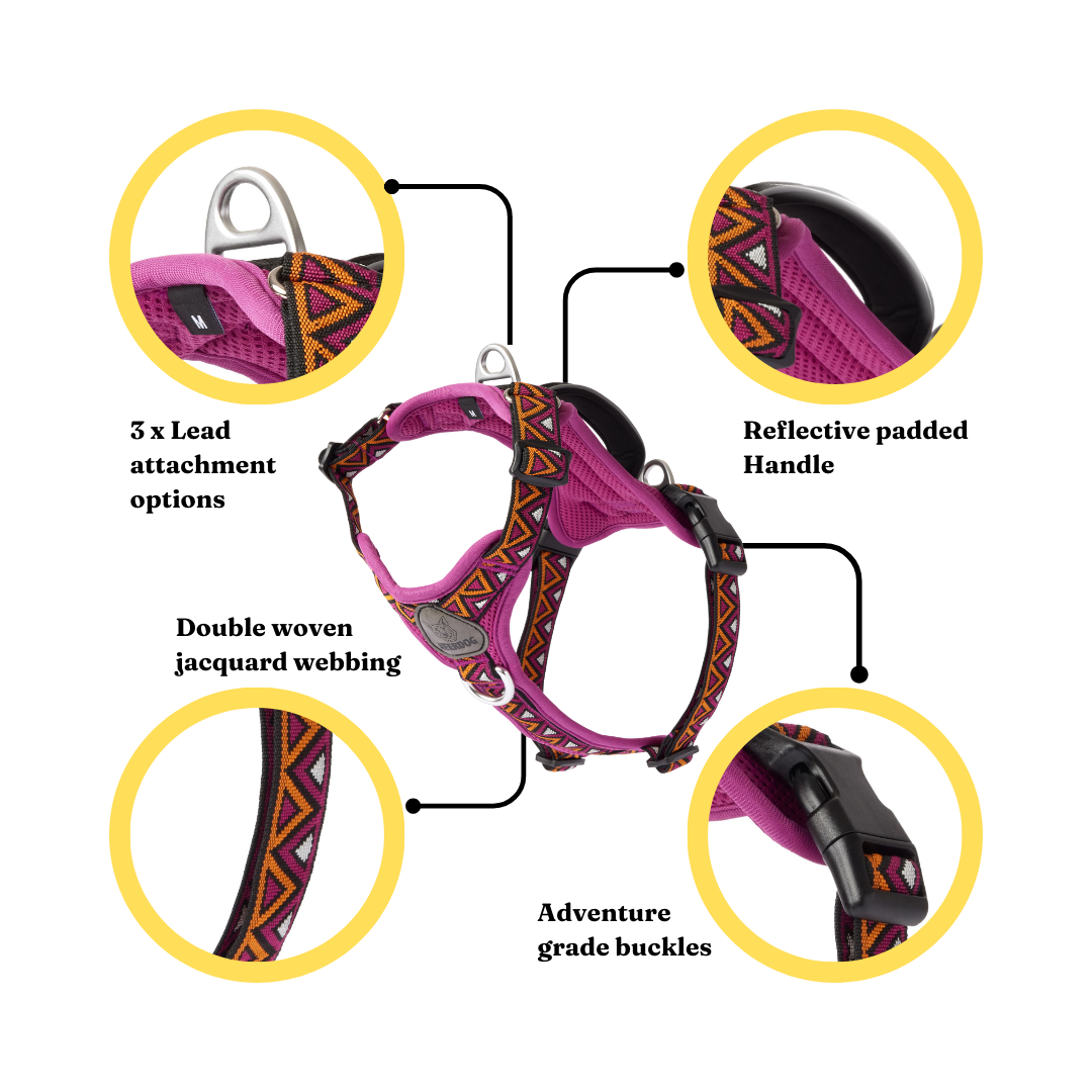 GO-B-BOLD™ | Dog Harness | Dahlia