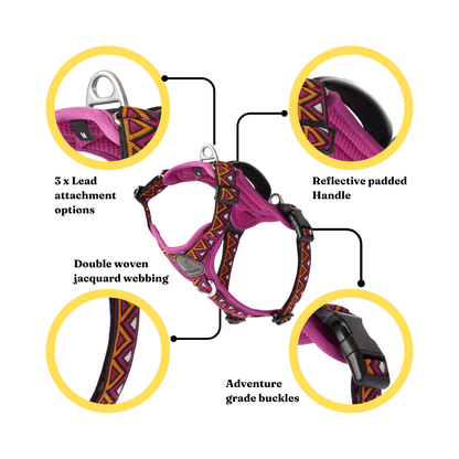 GO-B-BOLD™ | Dog Harness | Dahlia