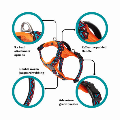 GO-B-BOLD™ | Dog Harness | Zinnia