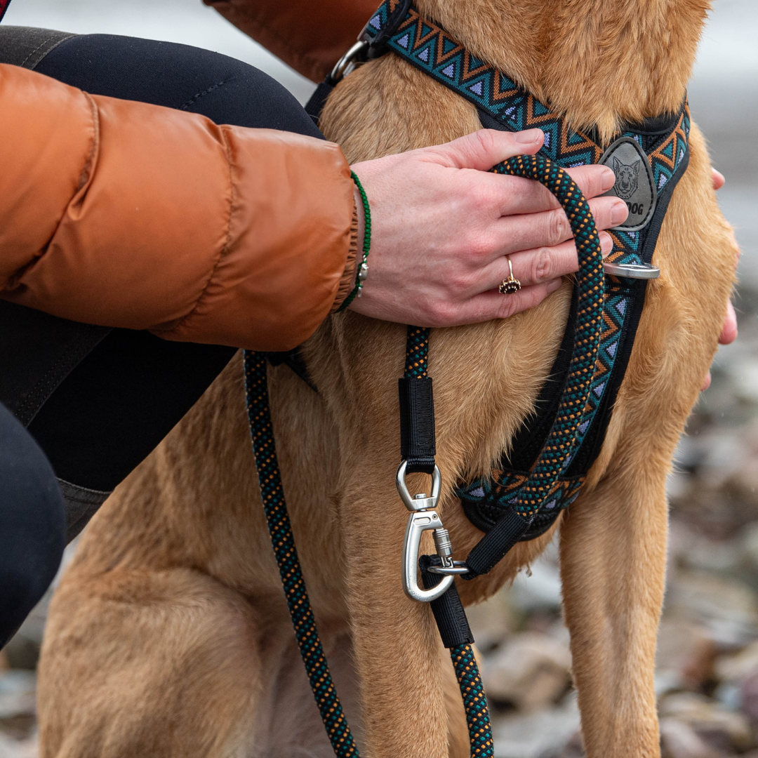 GO-B-FLEXTRA | Multifunctional Rope Lead | Hollyhock