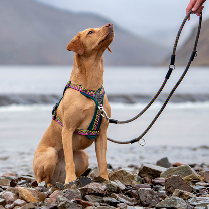 GO-B-FLEXTRA | Multifunctional Rope Lead | Lantana