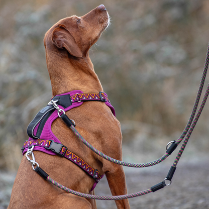 GO-B-FLEXTRA | Multifunctional Rope Lead | Lantana