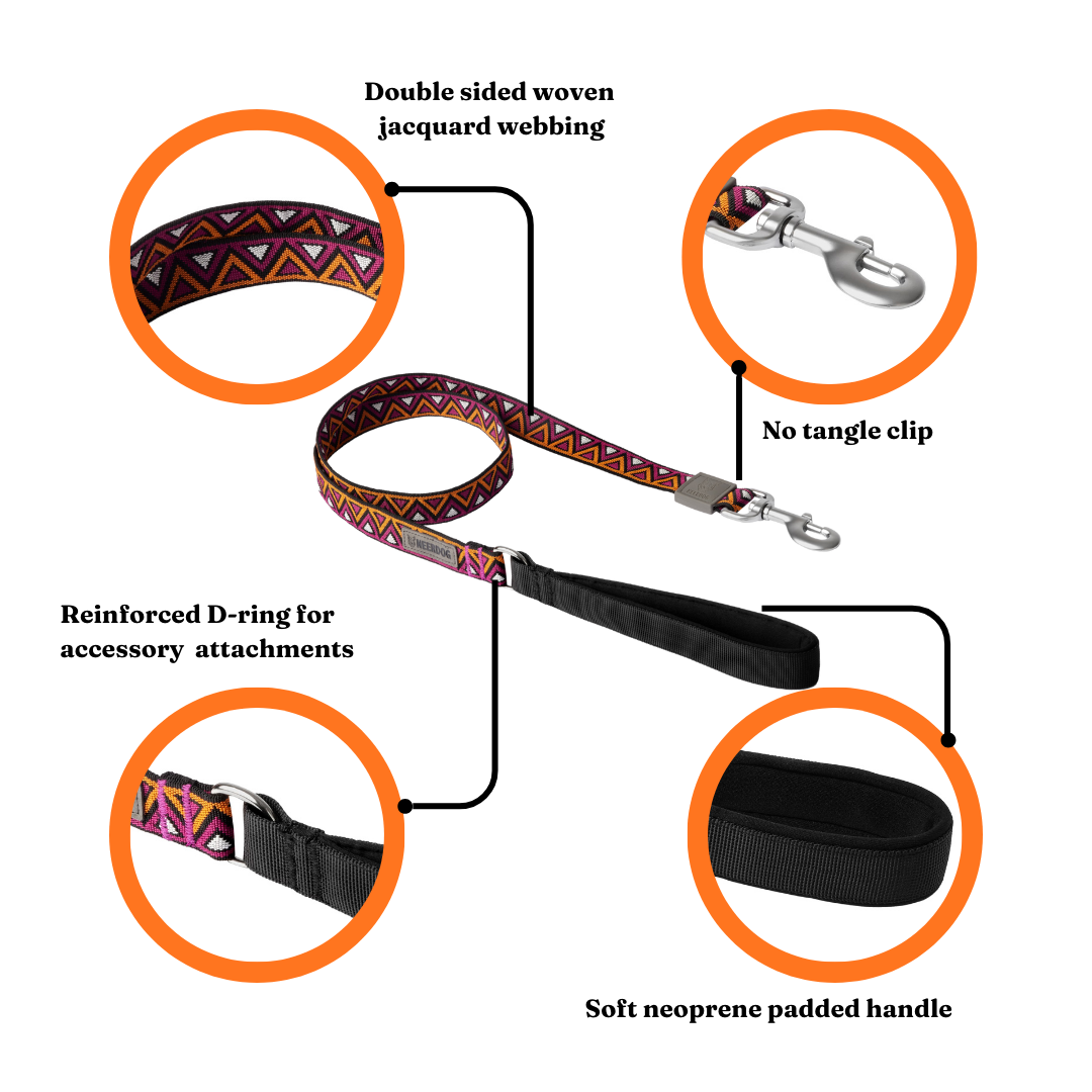GO-CEE | Dog Lead | Dahlia