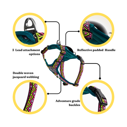 GO-B-BOLD | Dog Harness | Lantana