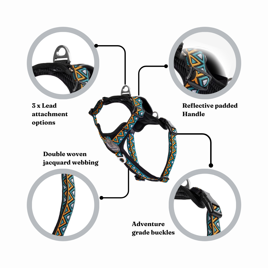 GO-B-BOLD | Dog Harness | Hollyhock