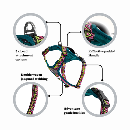 GO-B-BOLD | Dog Harness | Lantana