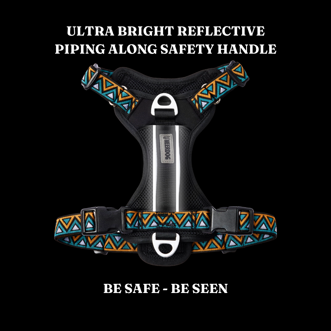 GO-B-BOLD | Dog Harness | Hollyhock