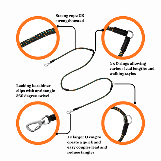 GO-B-FLEXTRA | Multifunctional Rope Lead | Hollyhock