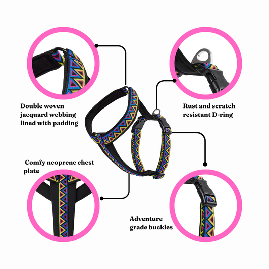 Go-Cee-Y | Dog Harness | Cosmos