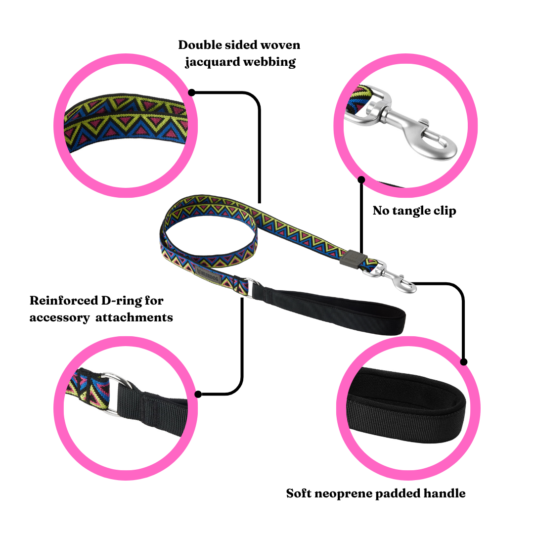 GO-CEE | Dog Lead | Cosmos