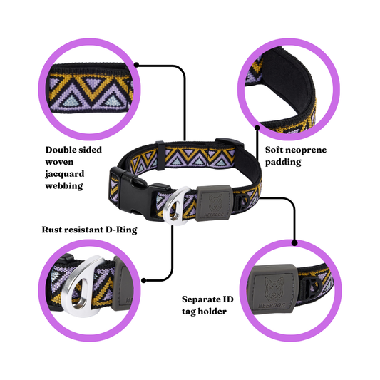 Go-Cee | Dog Collar | Erysimum
