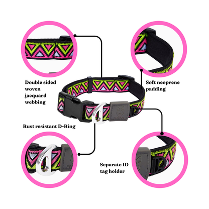 Go-Cee | Dog Collar | Lantana