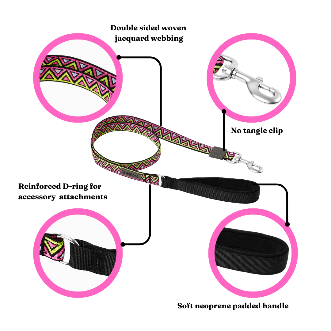 Go-Cee | Dog Lead | Lantana