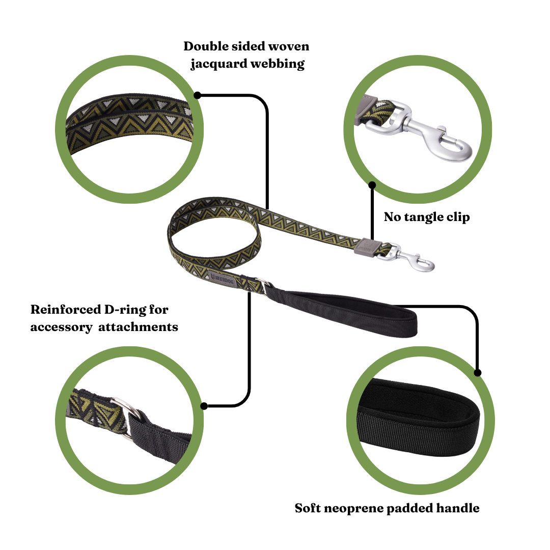 GO-CEE | Dog Lead | Fern
