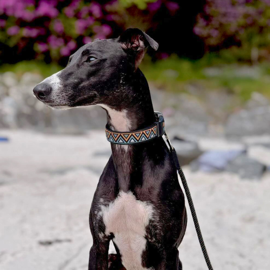 GO-CEE | Dog Collar | Hollyhock