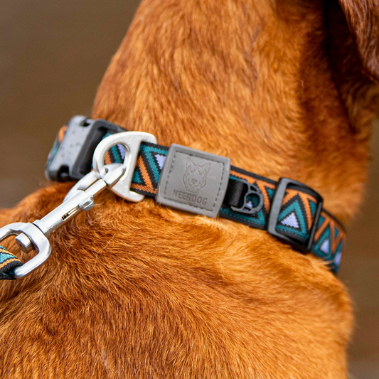 Go-Cee | Dog Collar | Hollyhock