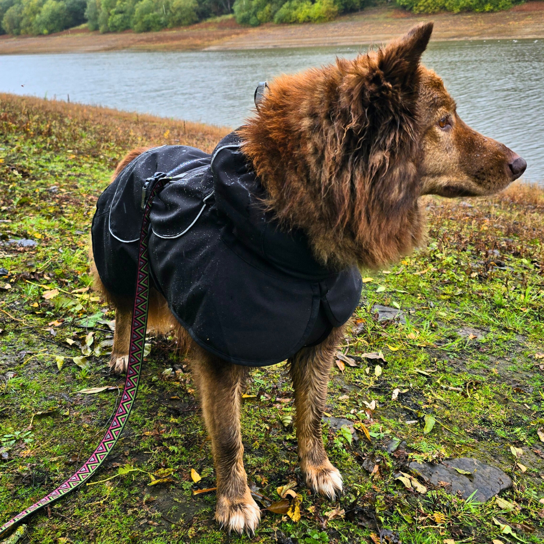 Rain Defender | Reflective Dog Coat | Black