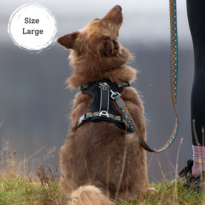 Large sized brown collie cross dog from behind wearing a black dog harness while looking up at their fur parent 