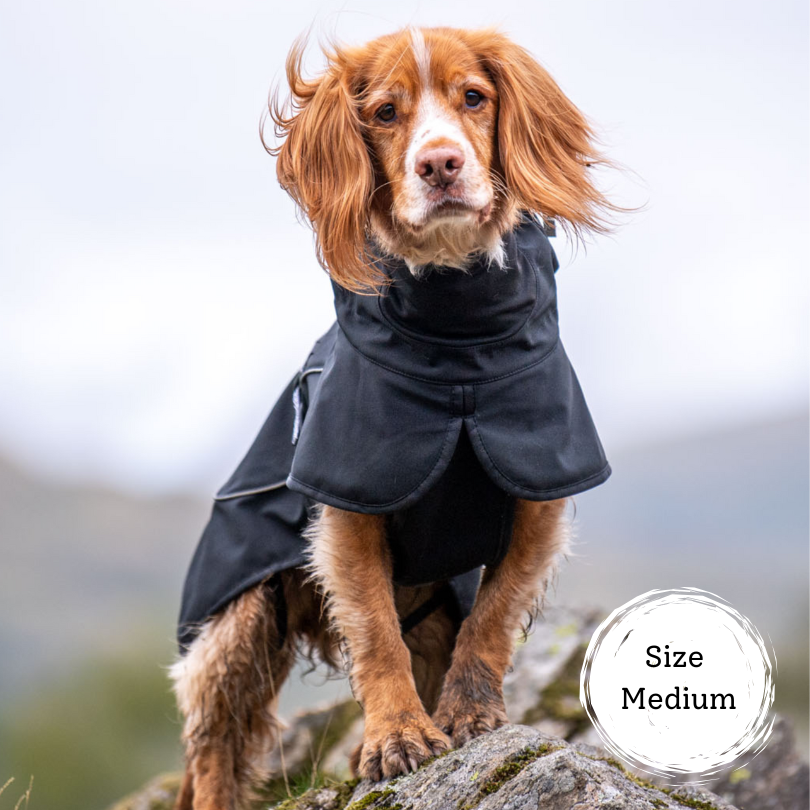 cocker spaniel wearing black dog coat with reflective strips. Dog coat has high neck to keep your dog warm and dry. Softshell fabric means freedom of movement and stylish fit.